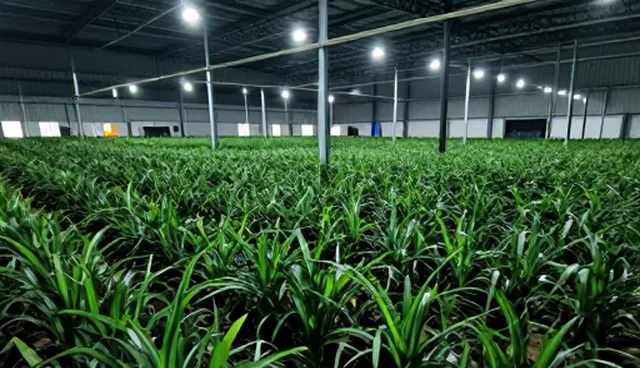 农产品种植技术指导中的关键选型因素分析